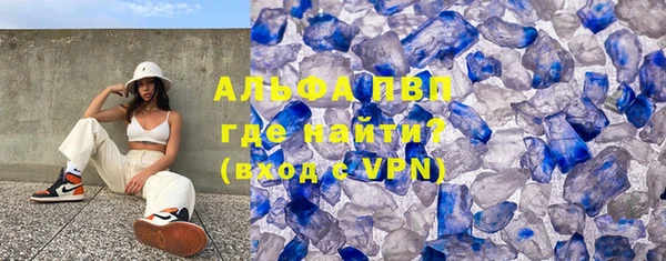 apvp Вяземский