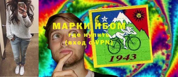 apvp Вяземский