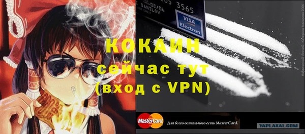 молекула духа Волосово