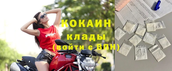 apvp Вяземский