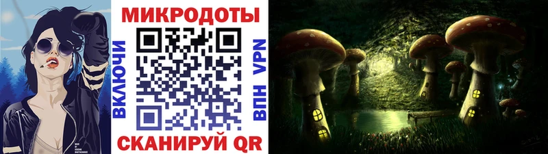 Псилоцибиновые грибы Cubensis  купить   Кущёвская 